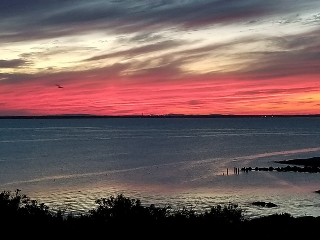 Sunset across Babb’s Cove. Photo: Renee Pagoota-Wight.