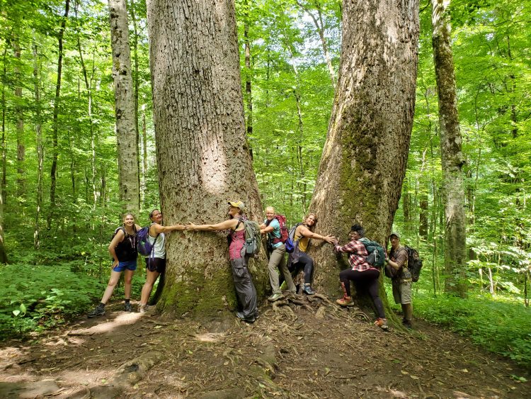 Group of people circling large trees with their arms