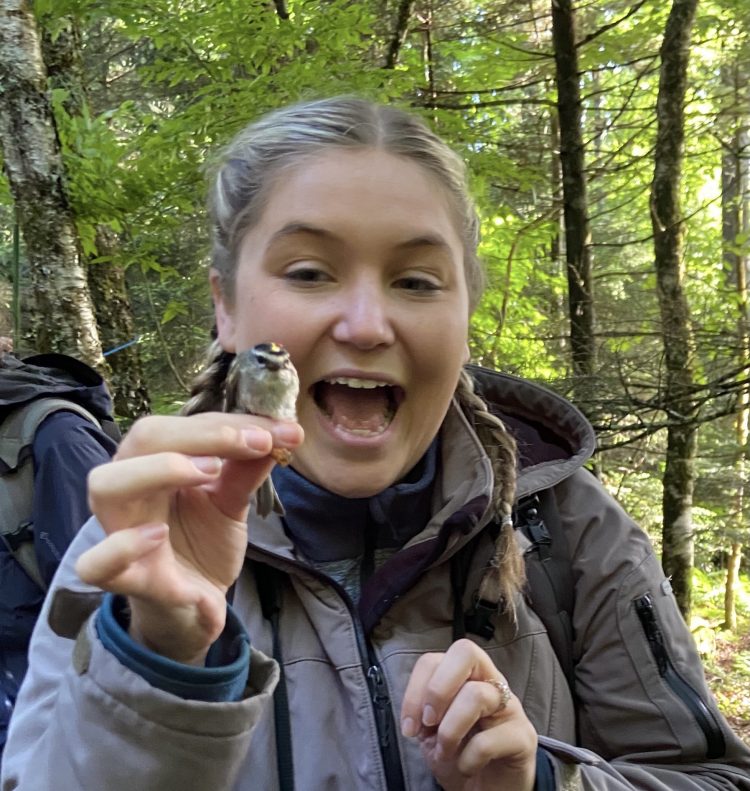 Sarah with a Golden-crowned Kinglet that we caught in the mist net.