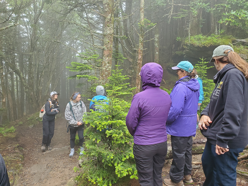 Eryn teaches us about her expert topic, the Fraser Fir Tree, and their importance to the unique, high elevation spruce-fir forests found at Mount Mitchell.