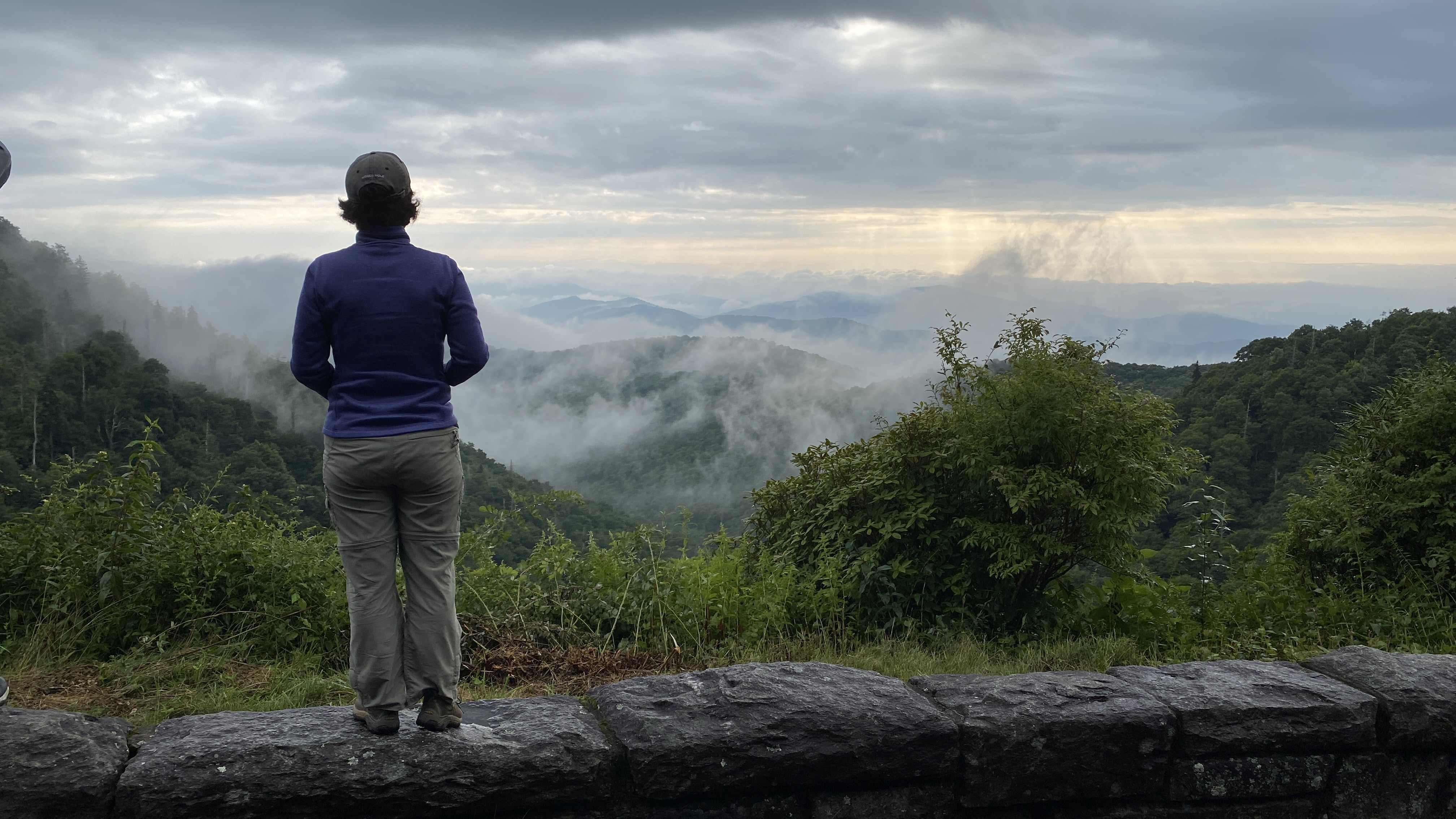 Silhouetted person overlooking mountains and mist