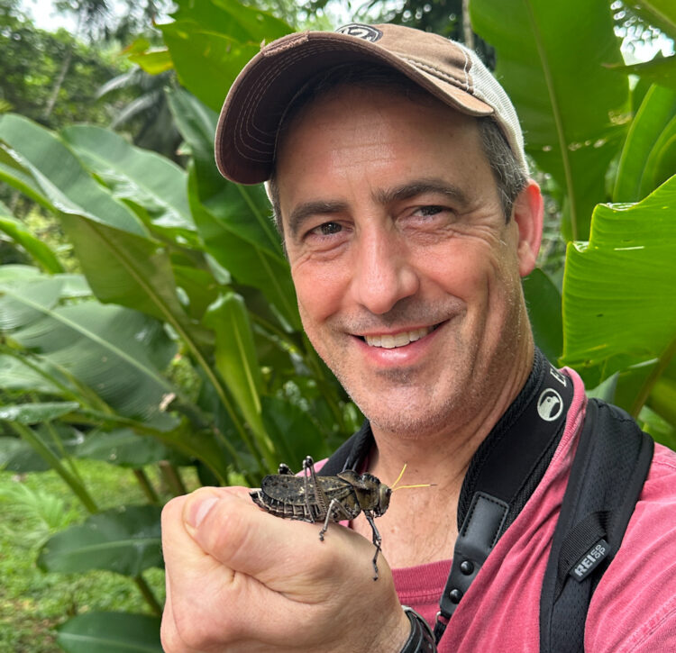 A man holds a grasshopper in his hand