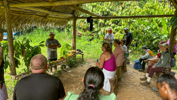 group under shelter listening to presentation with cacao pods