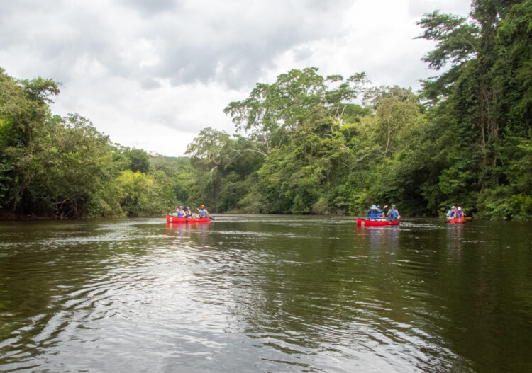 three canoes on a tropical river
