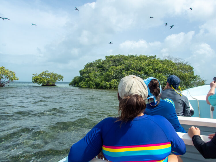 group on boat in front of green island with birds overhead