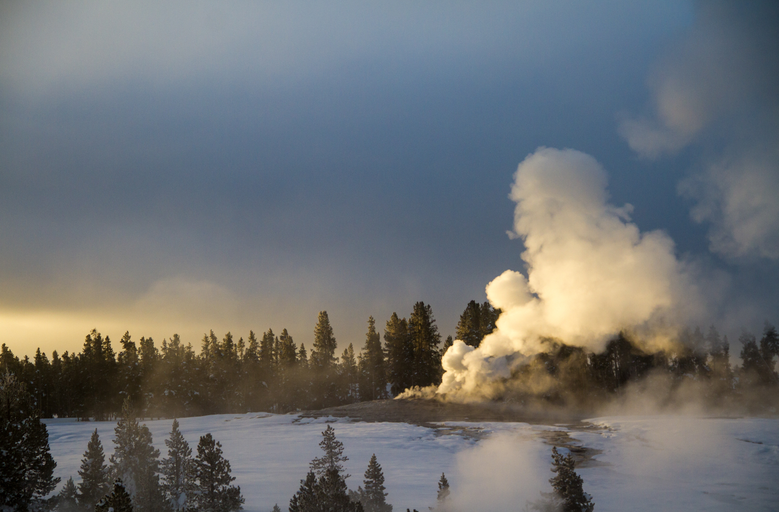 Yellowstone In Winter 