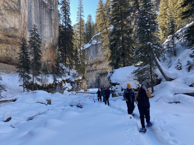 A group of teachers snowshoes through a rocky gorge