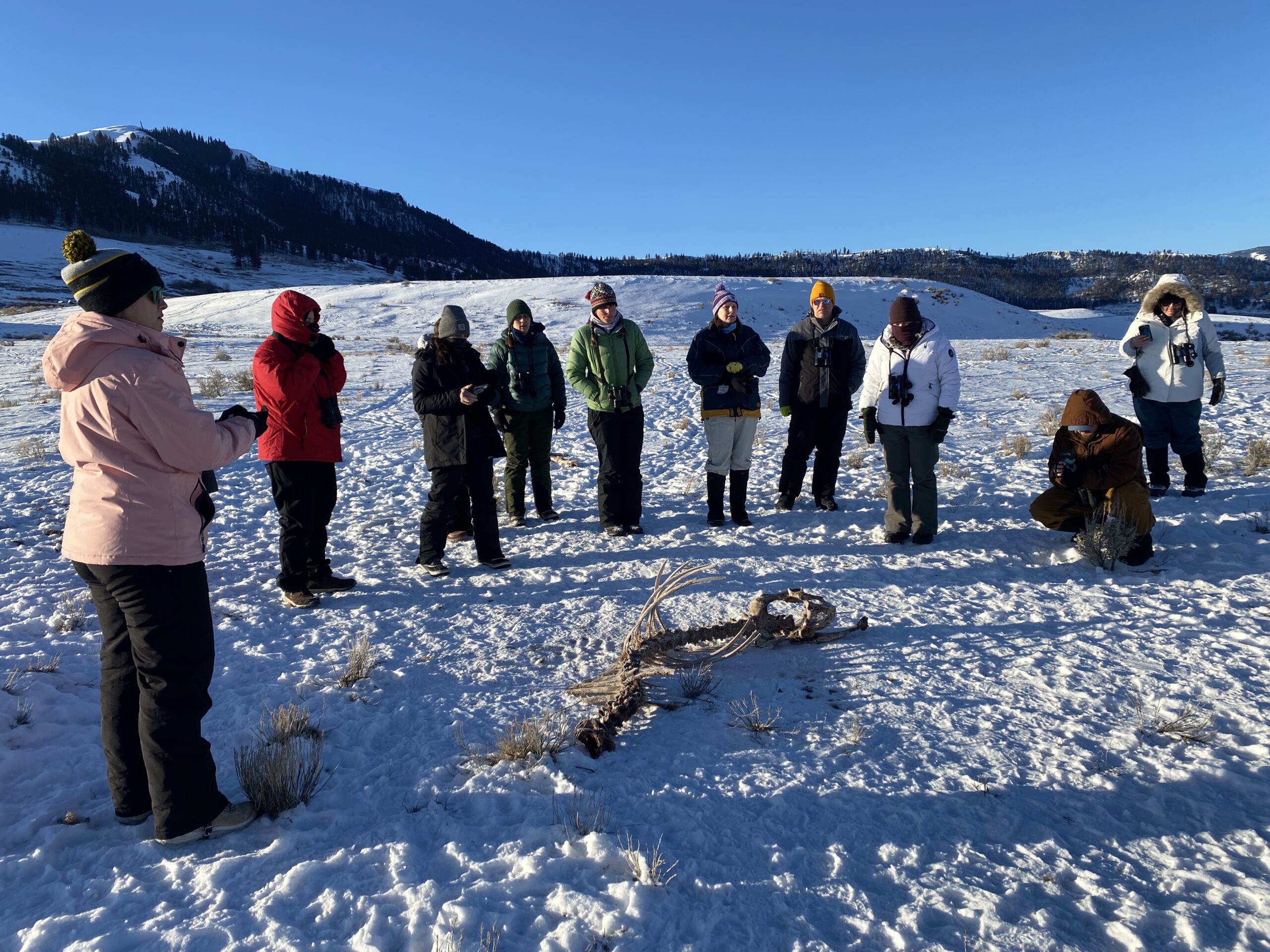 People standing around a skeleton
