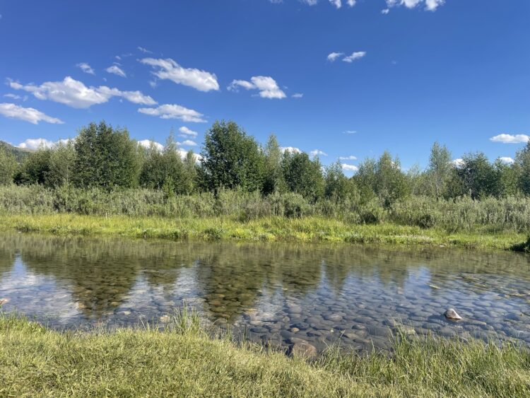 The clear Snake River surrounded by green grass and blue skies
