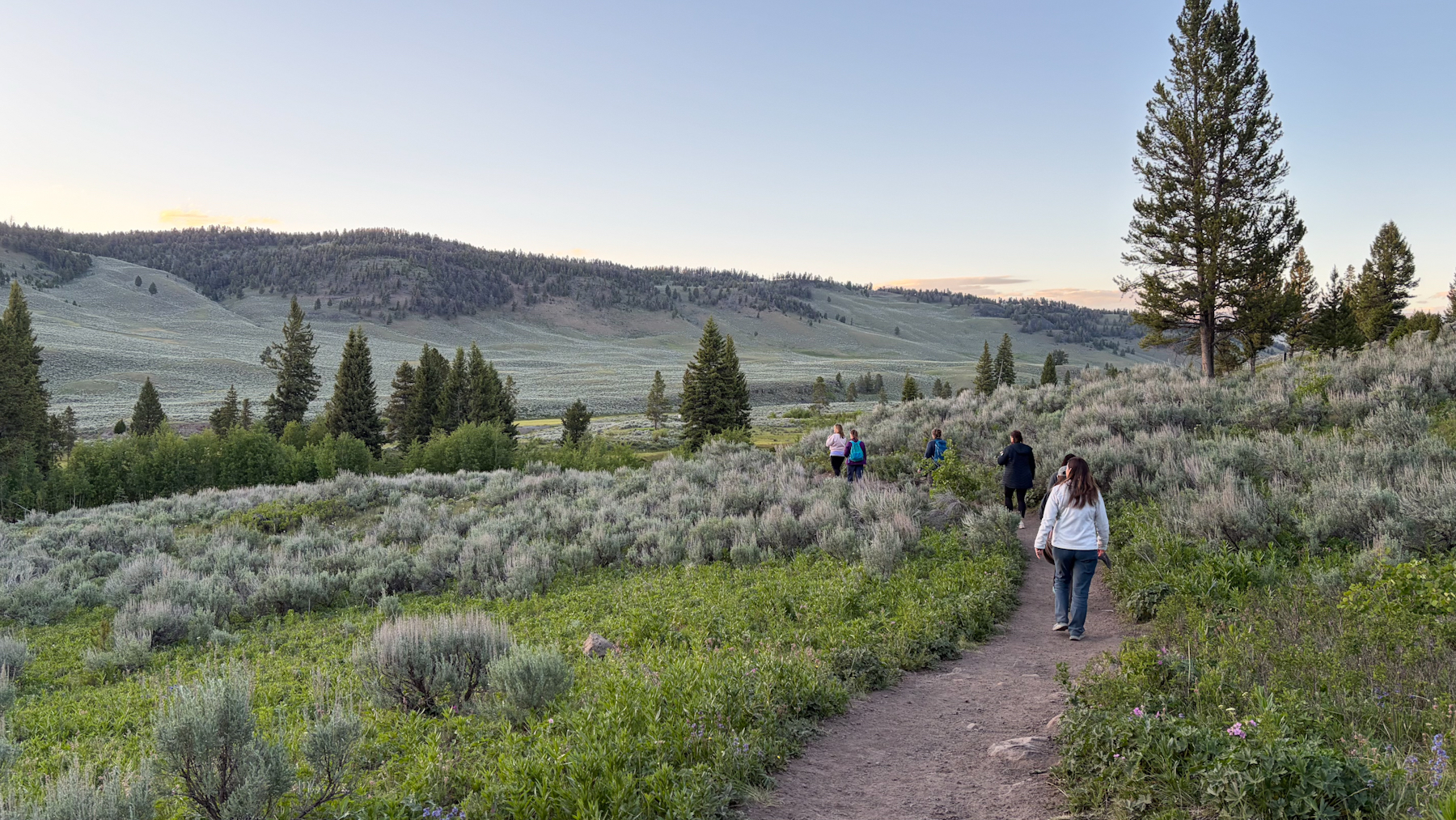 Walking on a trail