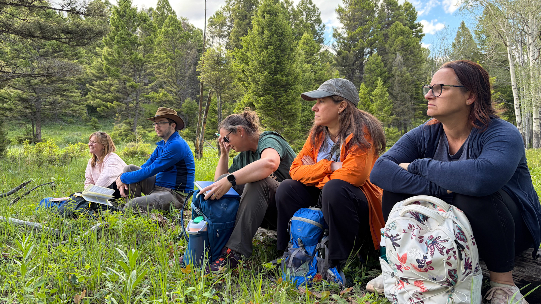 Row of people sitting on a log in a meadow