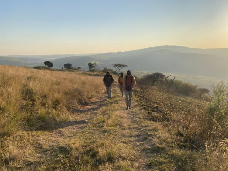Three people walk along a grassy trail through the rolling hills of South Africa